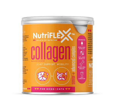 NutriFlex Collagen Advanced Mobility Complex for Dogs+Cats - The Beautiful Online Store